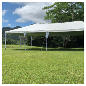 Toldo de lujo 6 x 8